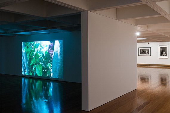 Queensland Art Gallery Gallery 6 installation view