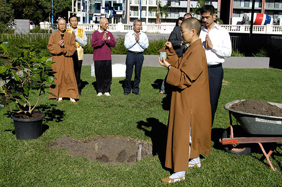 Planting of the Bodhi Tree, Gallery of Modern Art, April 2008