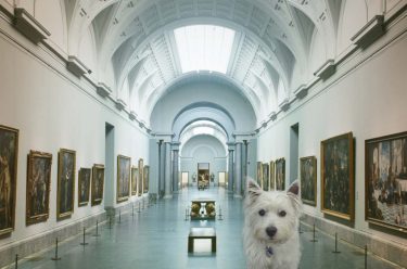 Ziggy visits 'Portrait of Spain: Masterpieces from the Prado'