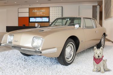 Ziggy visits 'California Design: 1930–1965. Living in a Modern Way’ and has his photo taken next to the Avanti 1961 manufactured 1963–64.