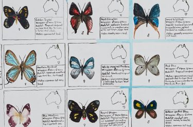 Noel McKenna, Australia b.1956 / Butterflies of Australia 2010