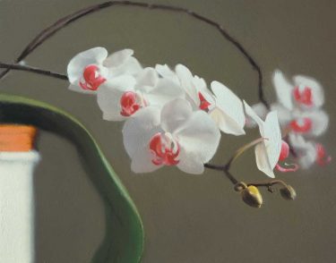 Gerhard Richter, Germany b.1932 / Orchid (848-9) 1997